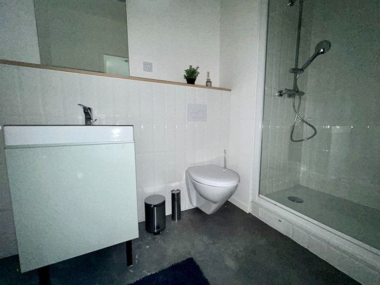 Location Appartement - 2 Pièces - 1 chambre - 43 m2 (PALAISEAU 91)